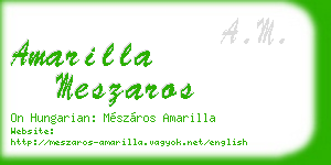 amarilla meszaros business card